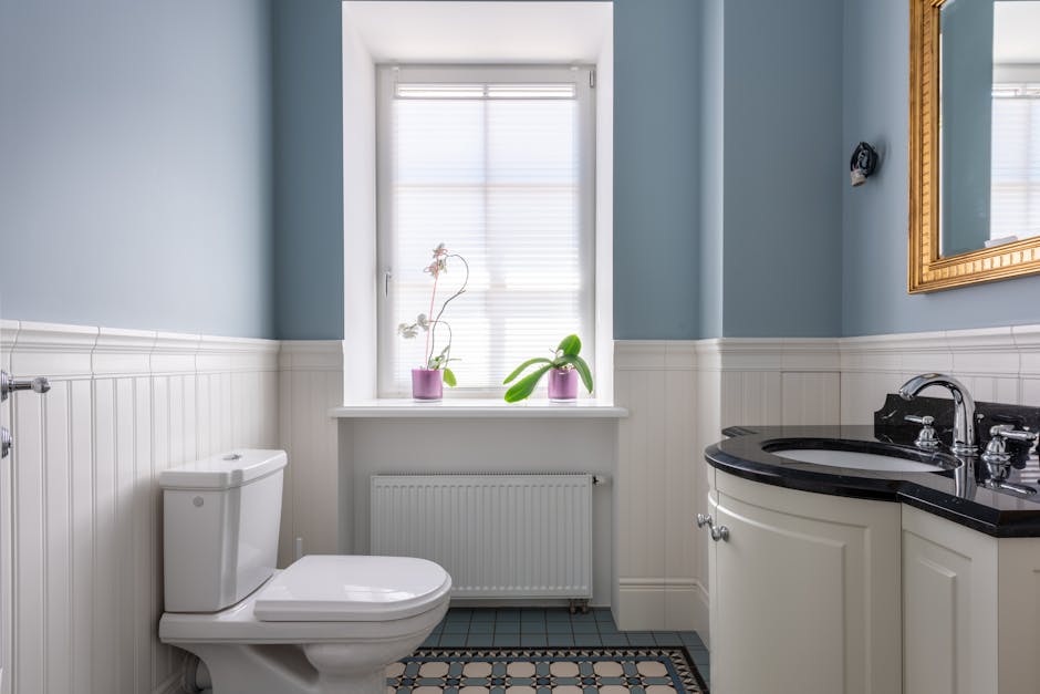 Toilet Repair & Installation in Eastvale, CA - The Eastvale Plumber
